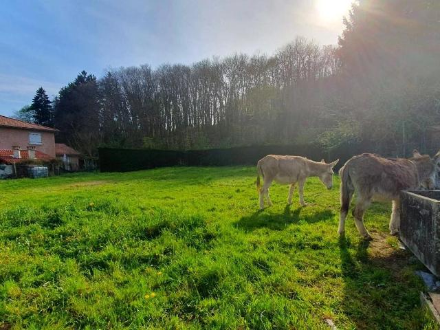 Terrain vente à Vienne, Champier