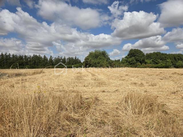 Terrain vente à Niort, Sauzé-vaussais