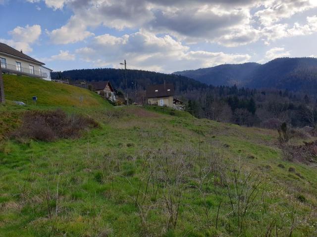 Terrain vente à Épinal, Saint-maurice-sur-moselle
