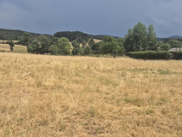 Terrain vente à Le Puy-en-Velay, Saint-pierre-eynac