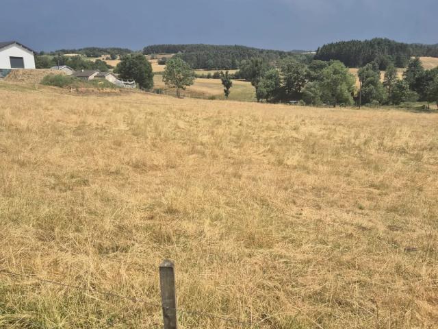 Terrain vente à Le Puy-en-Velay, Saint-pierre-eynac