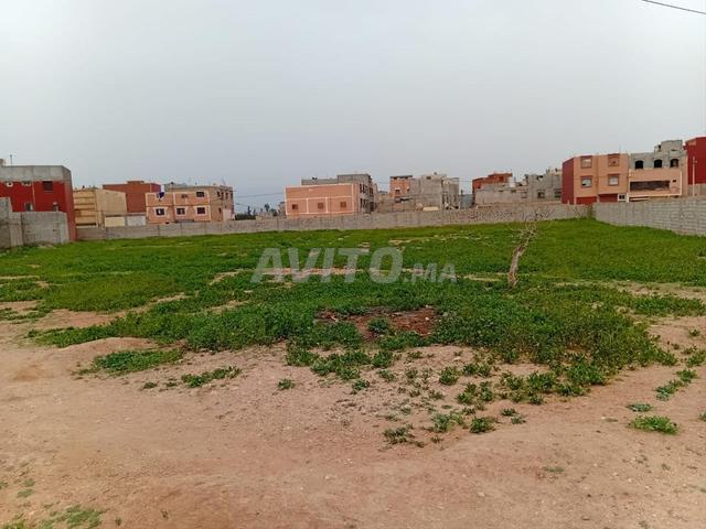 Propriété vente à Oued ed Dahab-Lagouira