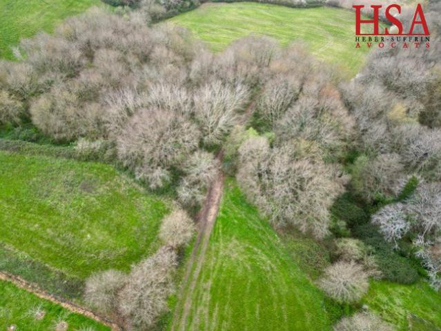 Terrain vente à Dax, Brassempouy