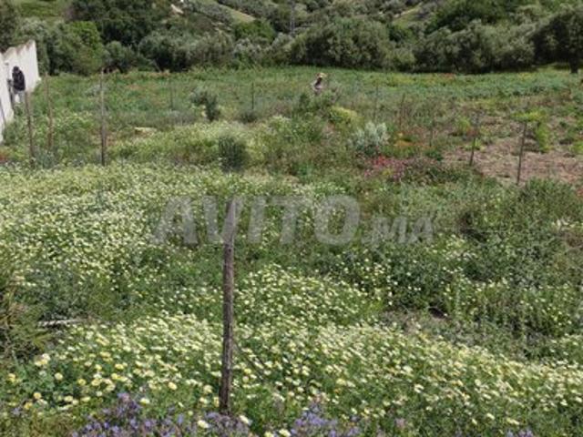 Propriété vente à Tétouan, Tanger-Tétouan
