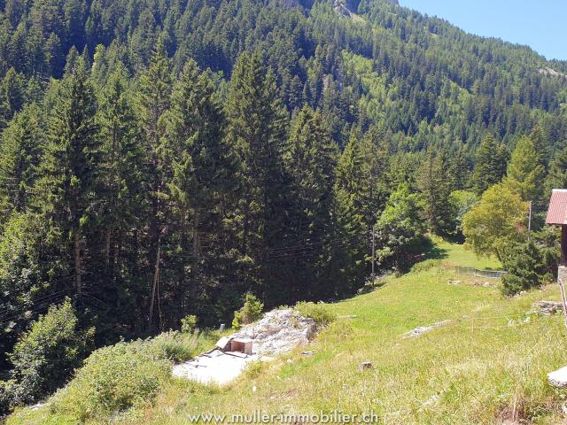 Immobilie kaufen in Chandolin-Savièse, Wallis