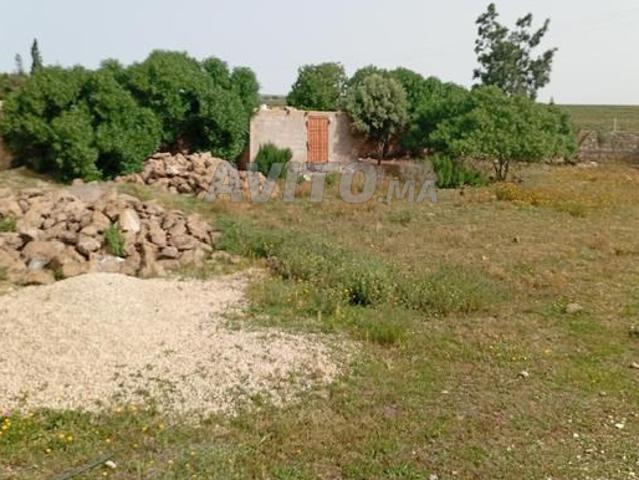 Propriété vente à Saf, L'Oriental