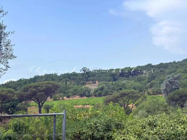 Terrain vente à Arrondissement de Draguignan, Grimaud