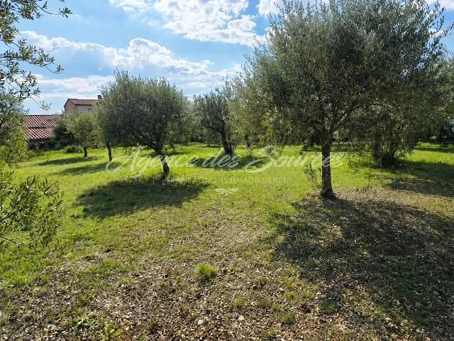 Terrain vente à Tavernes, Var