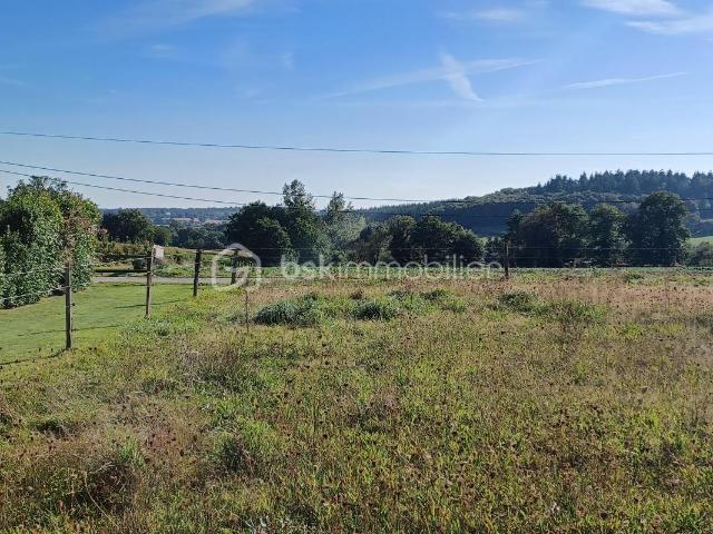 Terrain vente à Mayenne, Saint-georges-buttavent