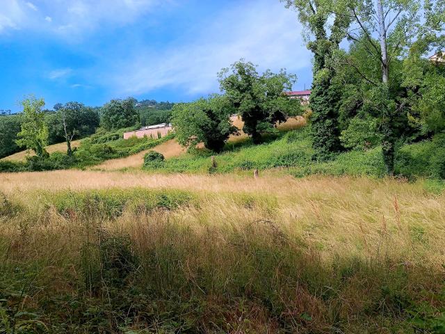 Terrain vente à Albi, Mirandol-bourgnounac