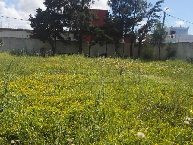 Terrain vente à Assilah, Tanger-Tétouan