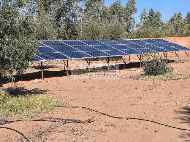 Ferme vente à Saâda, L'Oriental