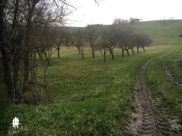 Terrain vente à Forbach-Boulay-Moselle, Velving
