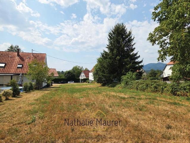 Terrain vente à Mutzig, Collectivité européenne d'Alsace