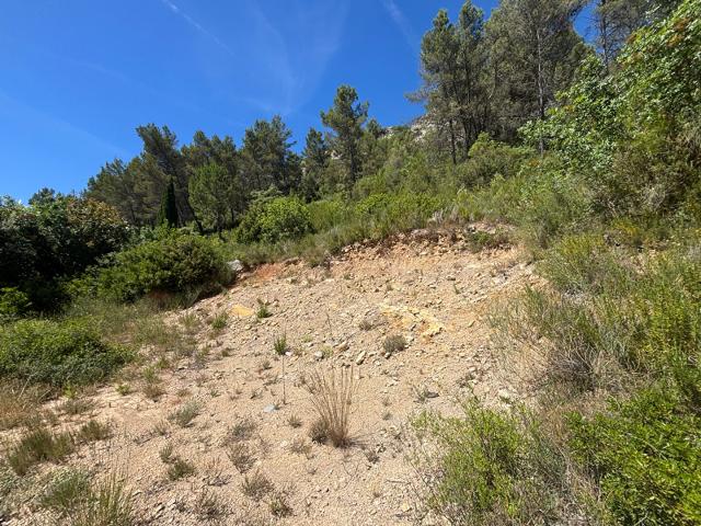 Terrain vente à Brignoles, Vins-sur-caramy