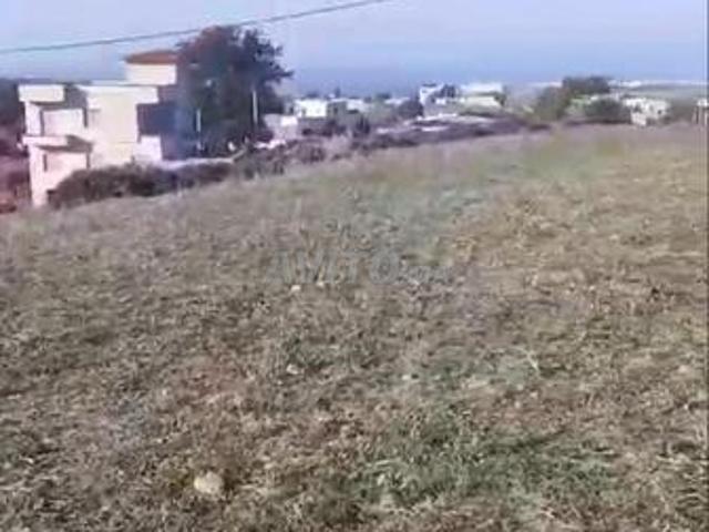 Propriété vente à Assilah, Tanger-Tétouan