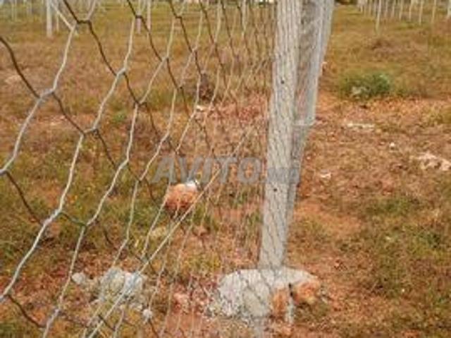 Propriété vente à Nador