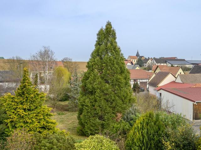 Terrain vente à Saverne, Willgottheim