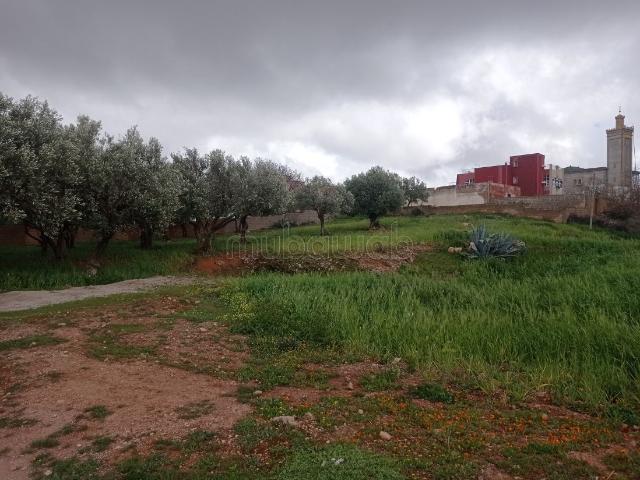 Terrain vente à Bhalil