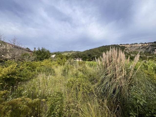 Terrain vente à Cornas, Ardèche