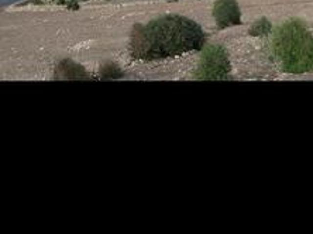Propriété vente à El Ma, Gharb-Chrarda-Beni Hssen