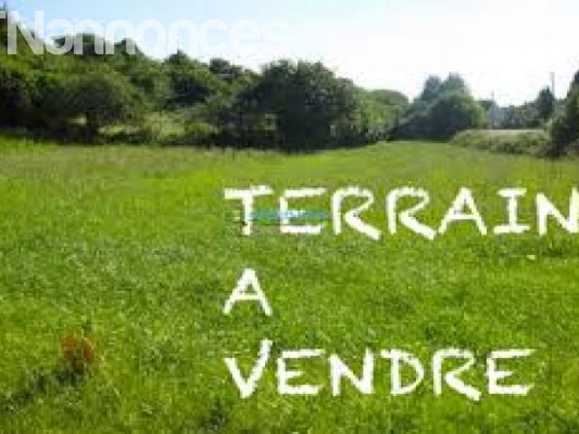 Terrain location