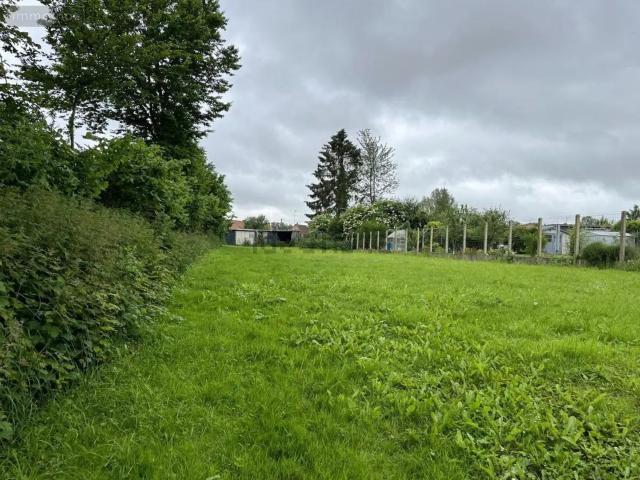 Terrain vente à Courcelles-le-Comte, Pas-de-Calais