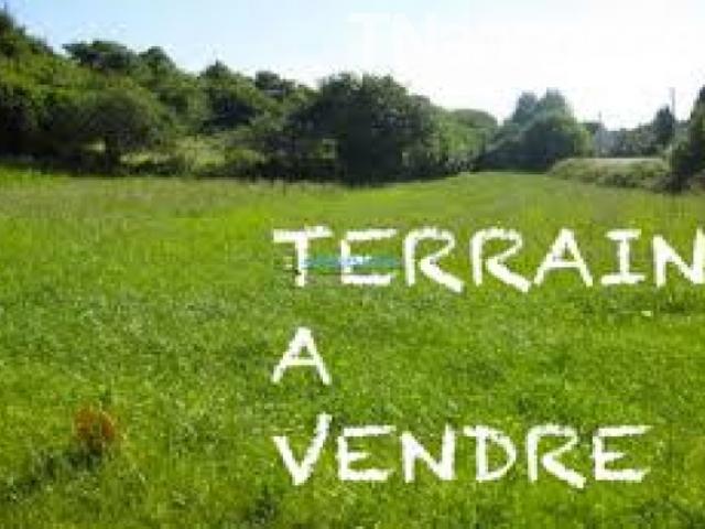Terrain location