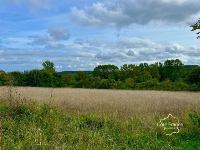 Terrain vente à Crain, Yonne