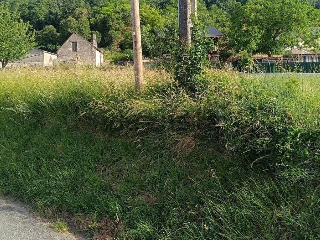 Terrain vente à Les Bertinières, Cravant-les-Côteaux