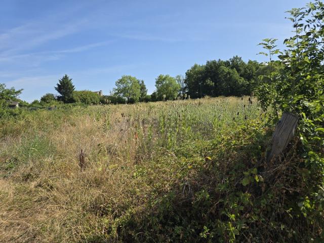Terrain vente à Les Dauriers, Creuzier-le-Vieux