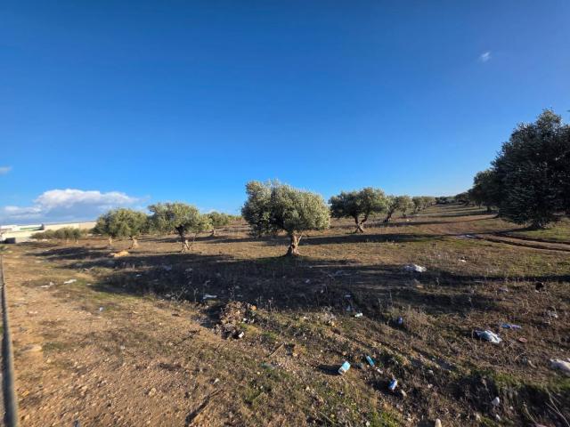 Propriété vente à Sousse Riadh, Akouda