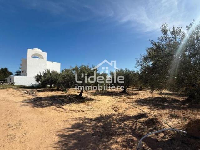 Terrain vente à Beni Khalled