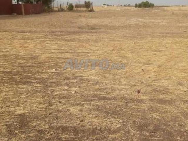 Propriété vente à Settat, Gharb-Chrarda-Beni Hssen