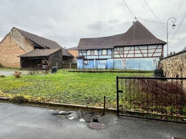 Terrain vente à Dannemarie, Collectivité européenne d'Alsace