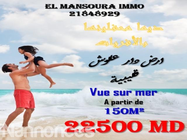 Terrain vente