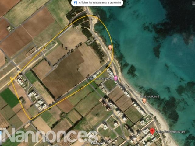 Terrain location