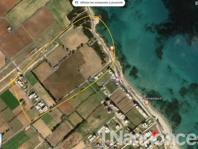 Terrain location