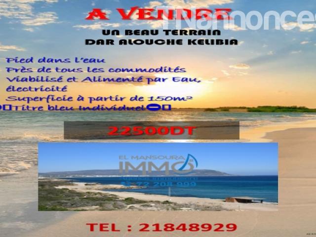 Terrain vente