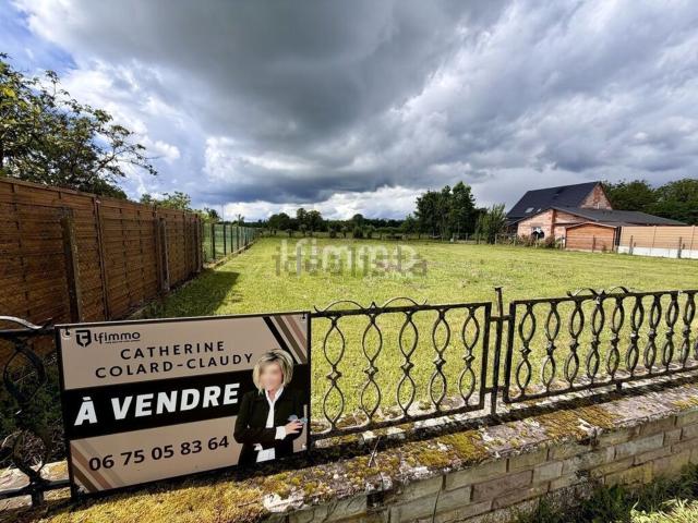 Terrain vente à Rhinau, Collectivité européenne d'Alsace