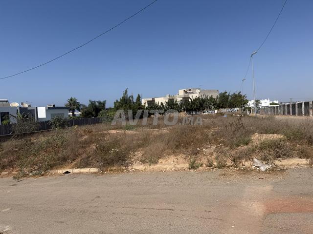 Propriété vente à Anfa, Sidi Belyout