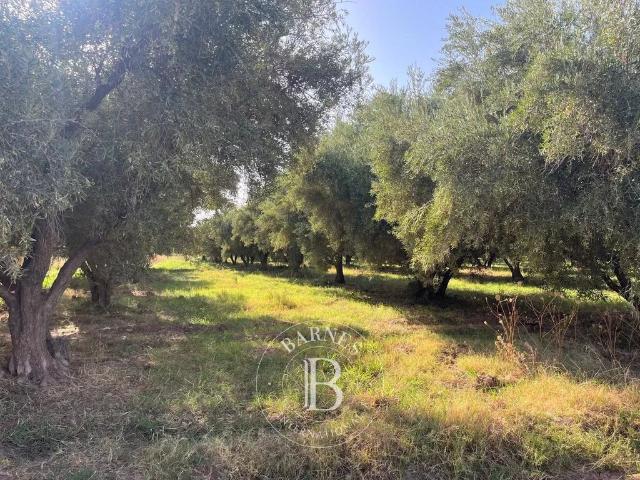 Terrain vente à Marrakech, L'Oriental