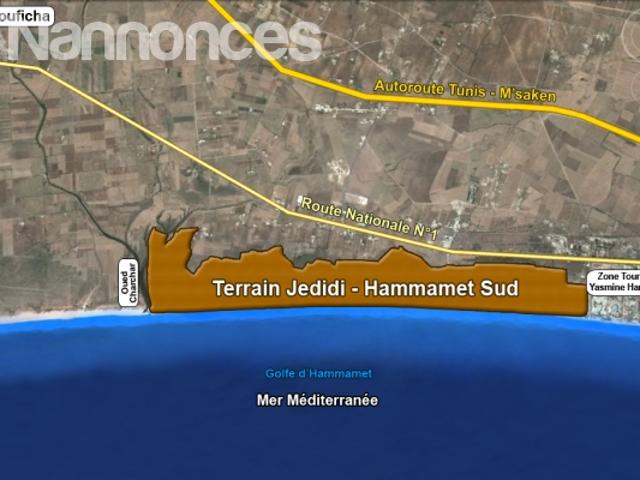 Terrain location