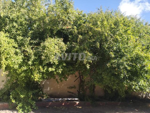 Propriété vente à Dar Bouazza, Gharb-Chrarda-Beni Hssen