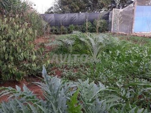 Propriété vente à Berrechid, Gharb-Chrarda-Beni Hssen