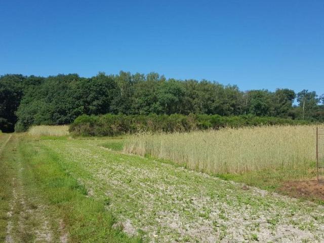 Terrain vente à Vierzon, Clémont