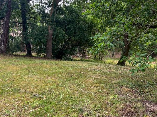 Terrain vente à Arcachon