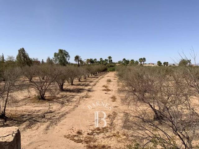 Terrain vente à Marrakech, Marrakech-Tensift-Al Haouz