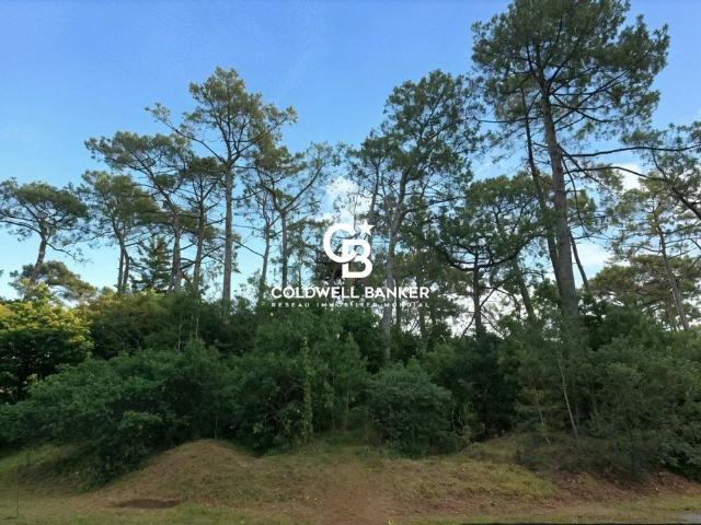 Terrain vente à Arcachon, Lège-cap-ferret