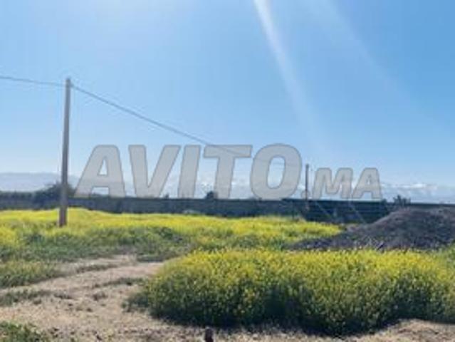 Propriété vente à Al Haouz, L'Oriental